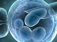 试管婴儿真的不如正常婴儿好吗？