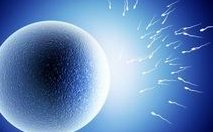 冻胚移植会发生宫外孕吗，可能是这六大原因导致