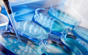 2026在霍州市做基因检测多少钱？基因筛查可以规避哪些遗传病？