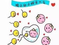 漯河私立医院做三代试管要多少钱？费用明细全在这！